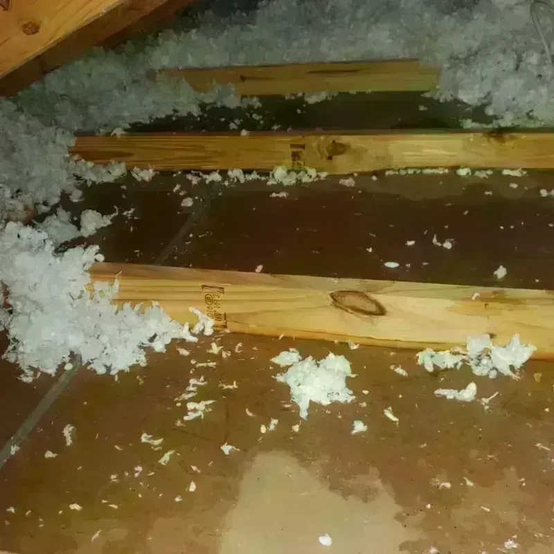 Attic Water Damage in Elk River, MN